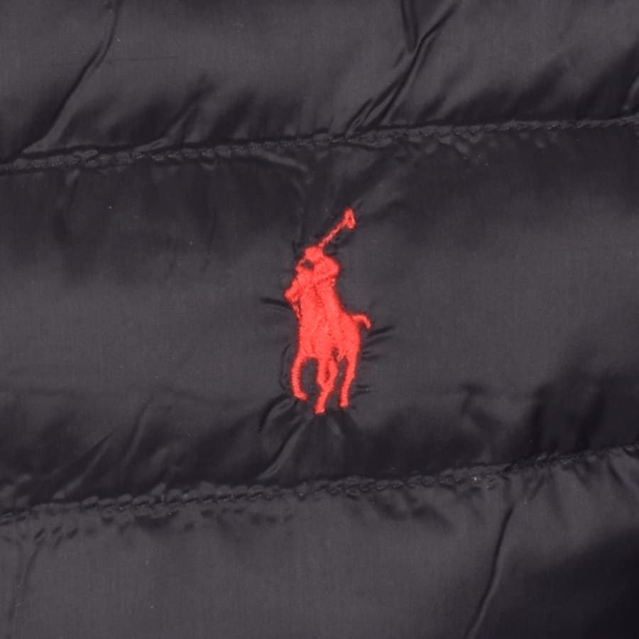 Alternative Image for ProductRalph Lauren Padded Jacket Black3